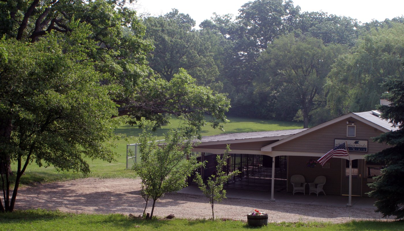 A playful pet resort in the country.